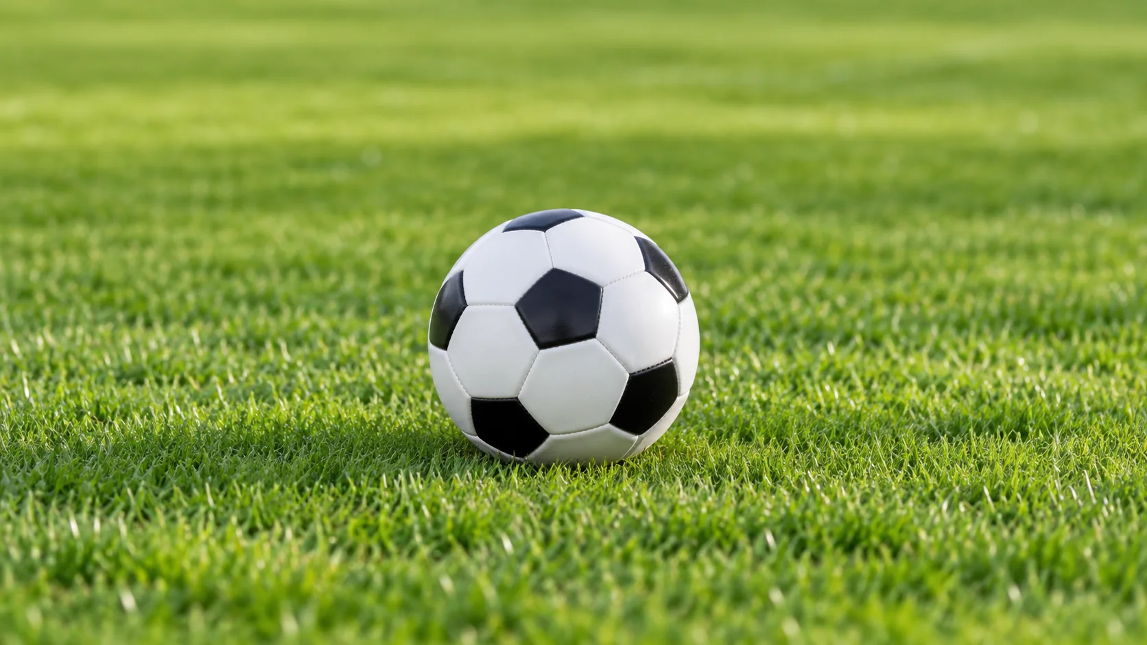 佟丽娅在戛纳电影节展现优雅风采美图引发网友热议
